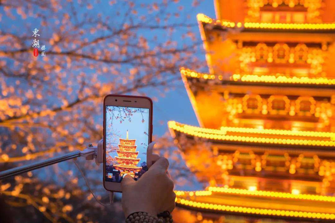 1611804798995799.jpg 武汉樱花园2.jpg