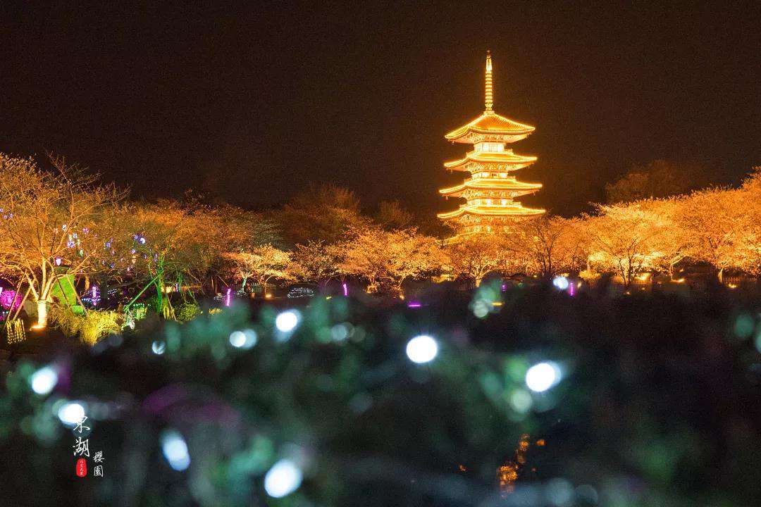 1611805006141785.jpg 武汉樱花园5.jpg