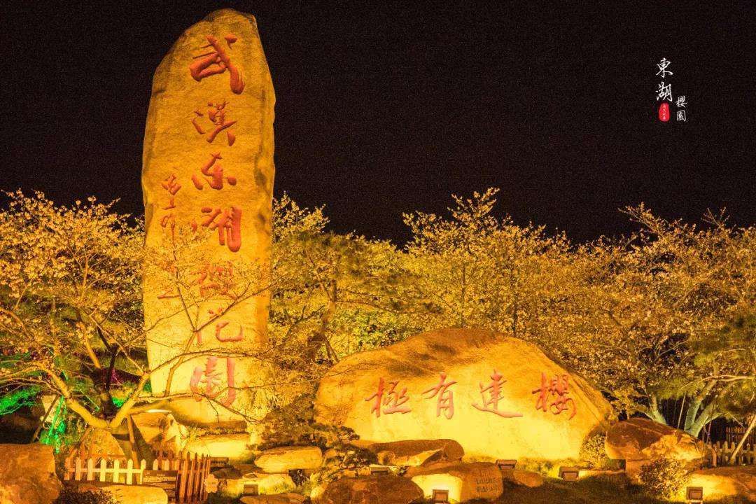 1611805050736232.jpg 武汉樱花园6.jpg