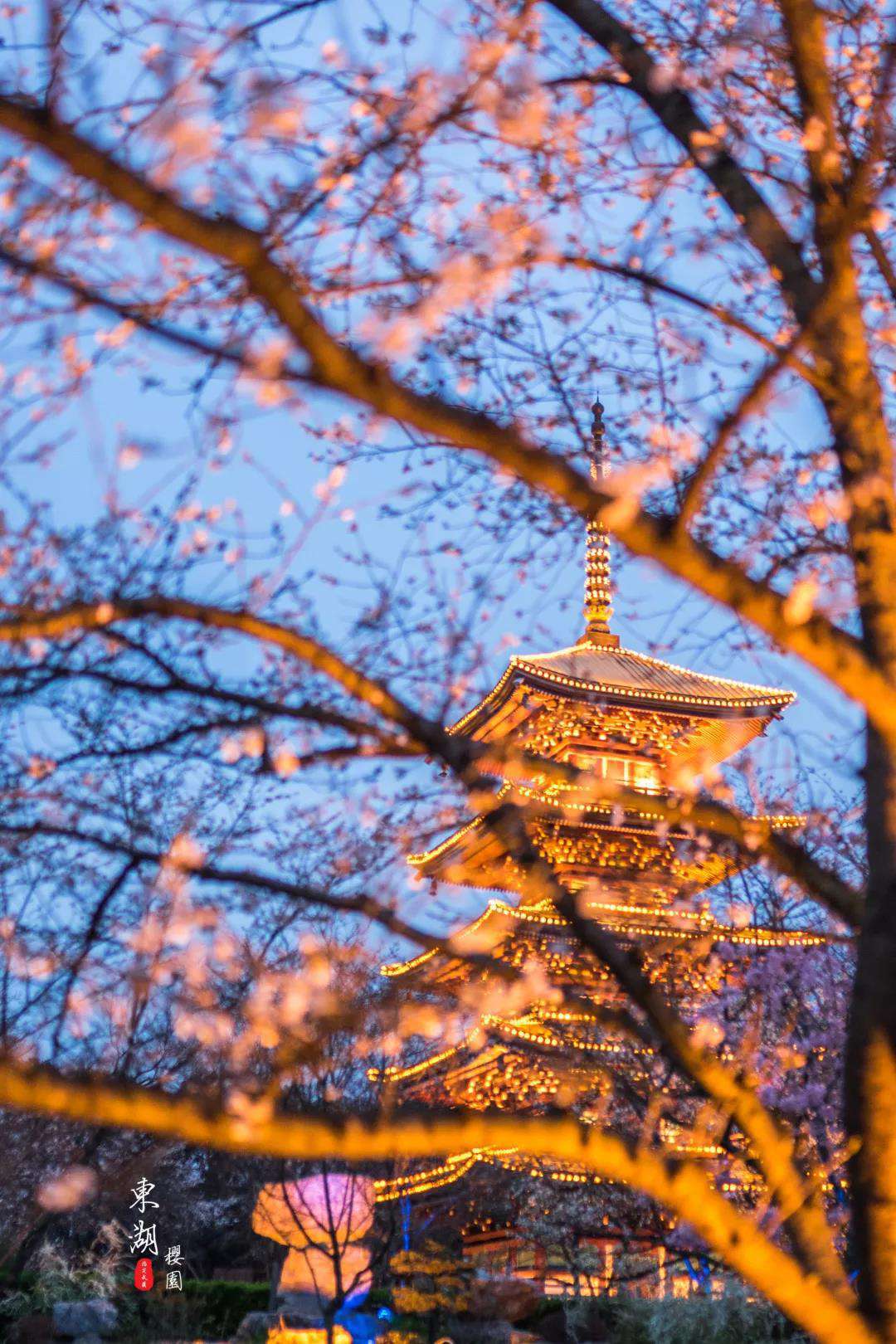 1611805074234384.jpg 武汉樱花园7.jpg