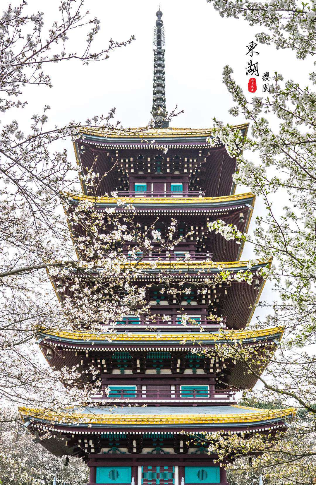 1611811332183600.jpg 武汉樱花园16.jpg