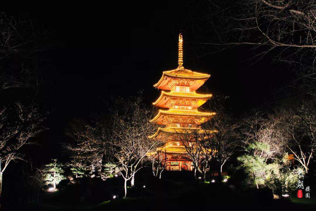 1611811364153807.jpg 武汉樱花园18.jpg