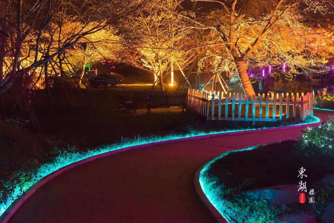 1611811429778389.jpg 武汉樱花园20.jpg