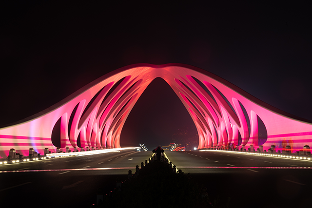 青岛珊瑚贝桥夜景
