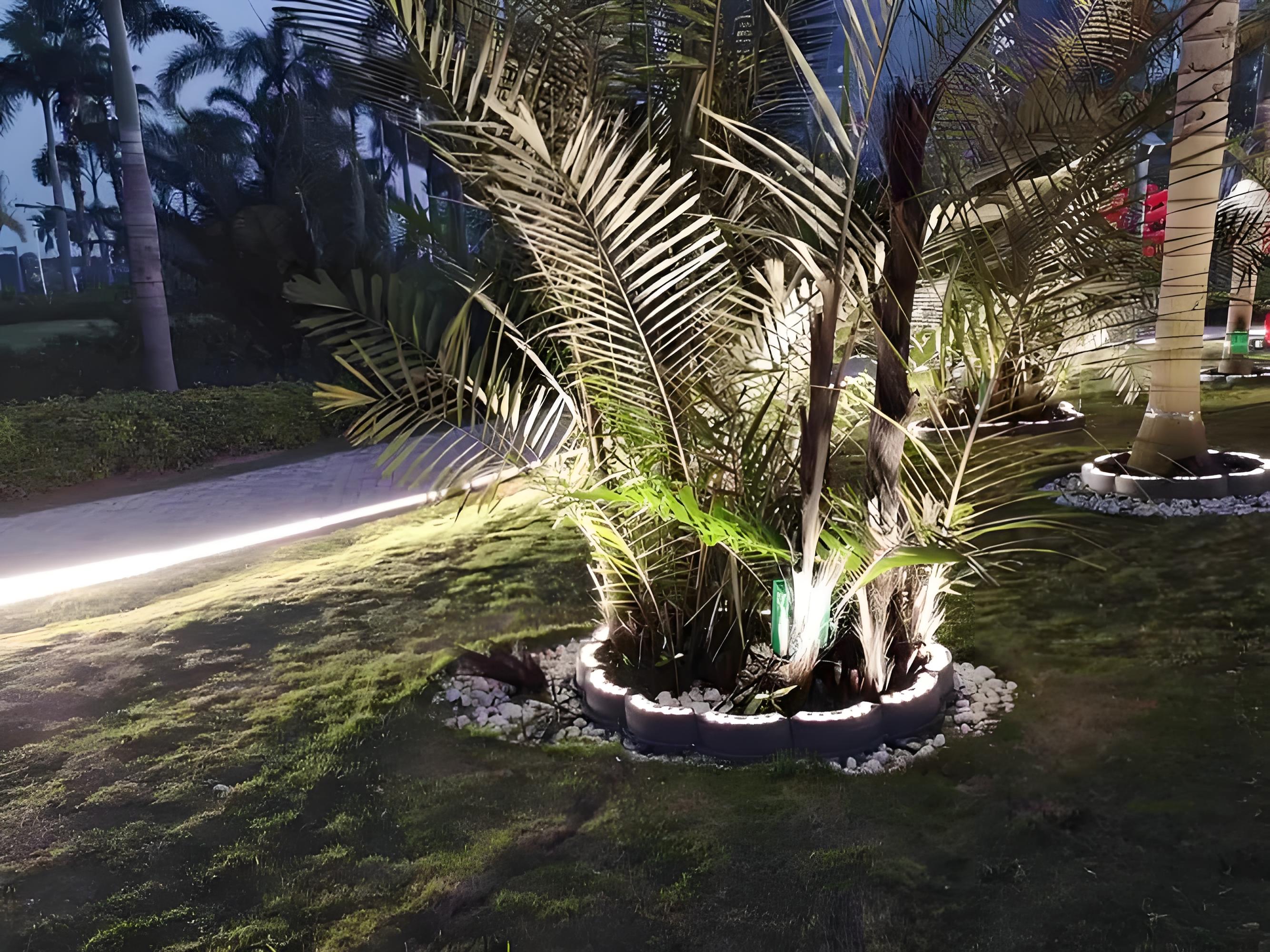 1721092160701447.jpg 1721092160701447.jpg