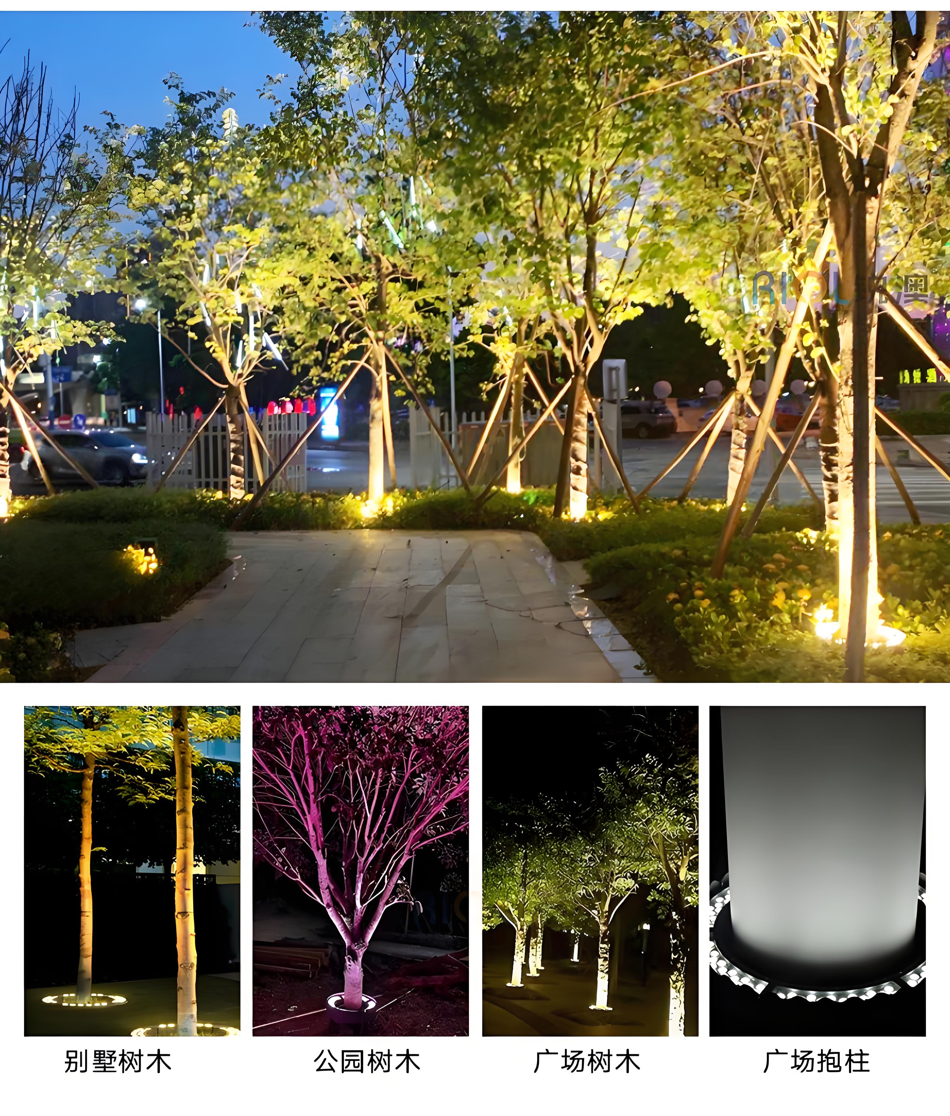 1721092408578814.jpg 1721092408578814.jpg